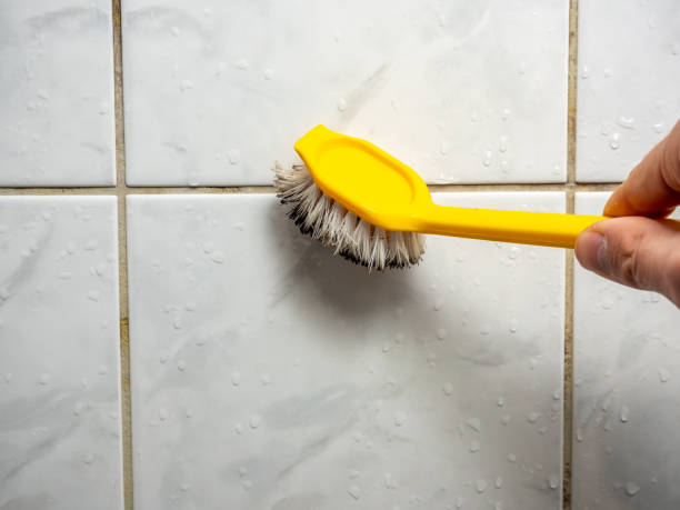 Best Mold Removal Near Me  in Hampton, IA