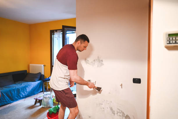 Best Water Damage Restoration  in Hampton, IA